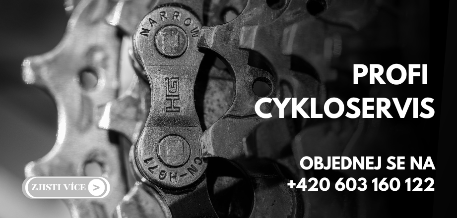 Cykloservis